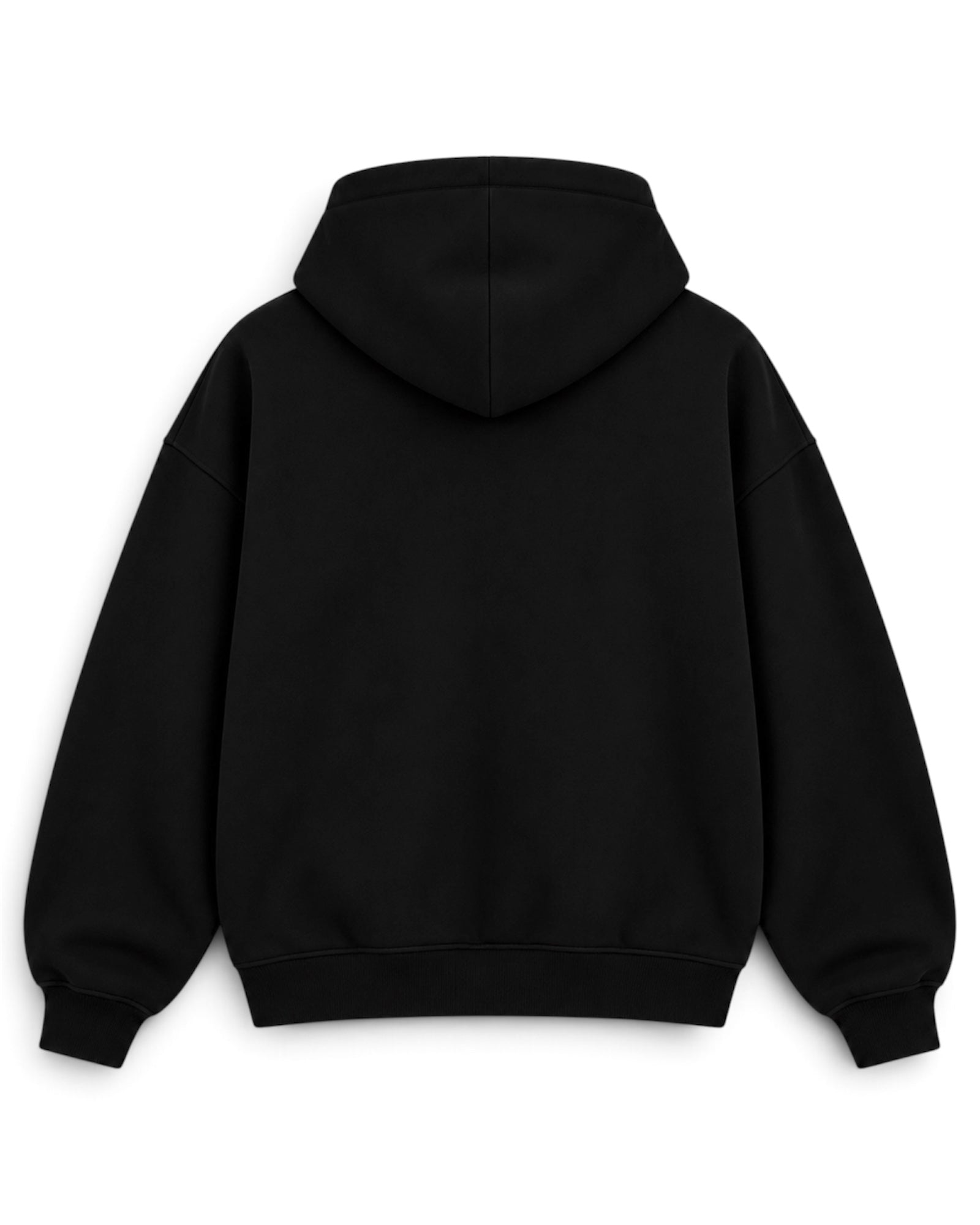 Image of A black pullover hoodie shown from the back, featuring a classic hood, long sleeves with ribbed cuffs, and a ribbed hem, photographed against a plain white background.